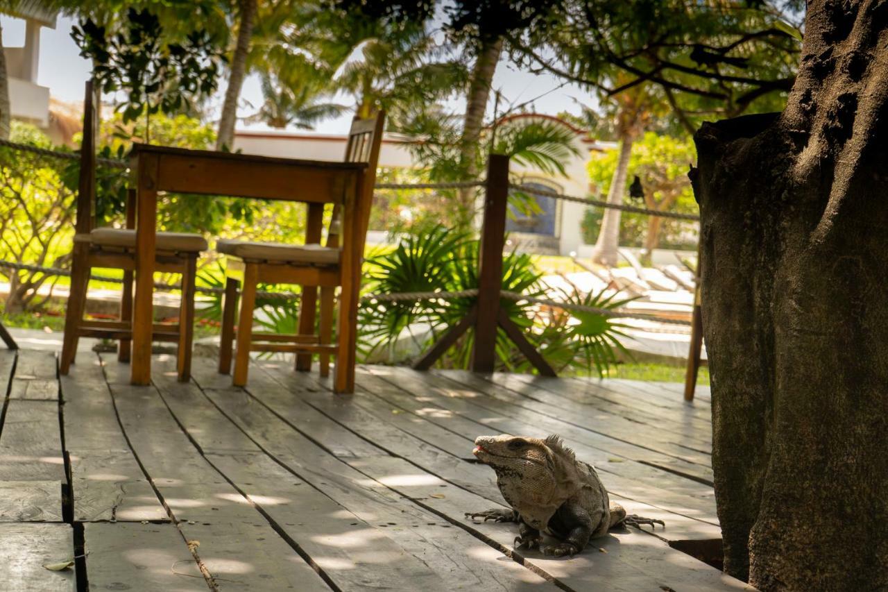 Marina Paraiso Isla Mujeres Hotel Buitenkant foto